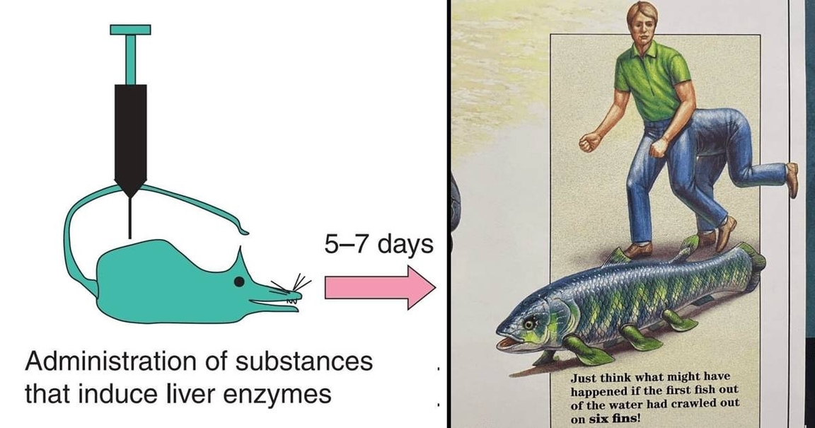 Science Diagrams That Look Like Memes (2)