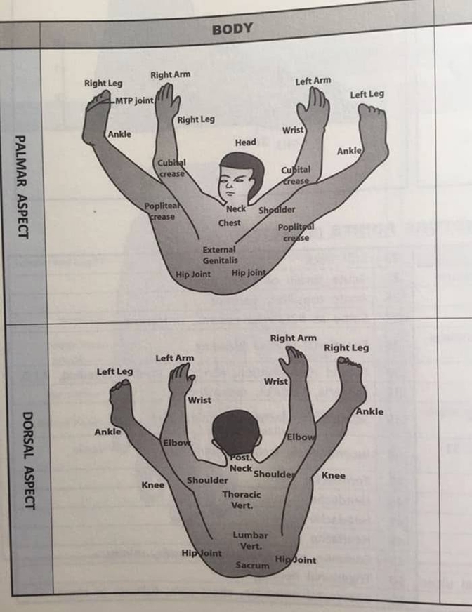 Science Diagrams That Look Like Memes