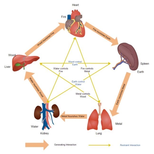 Science Diagrams