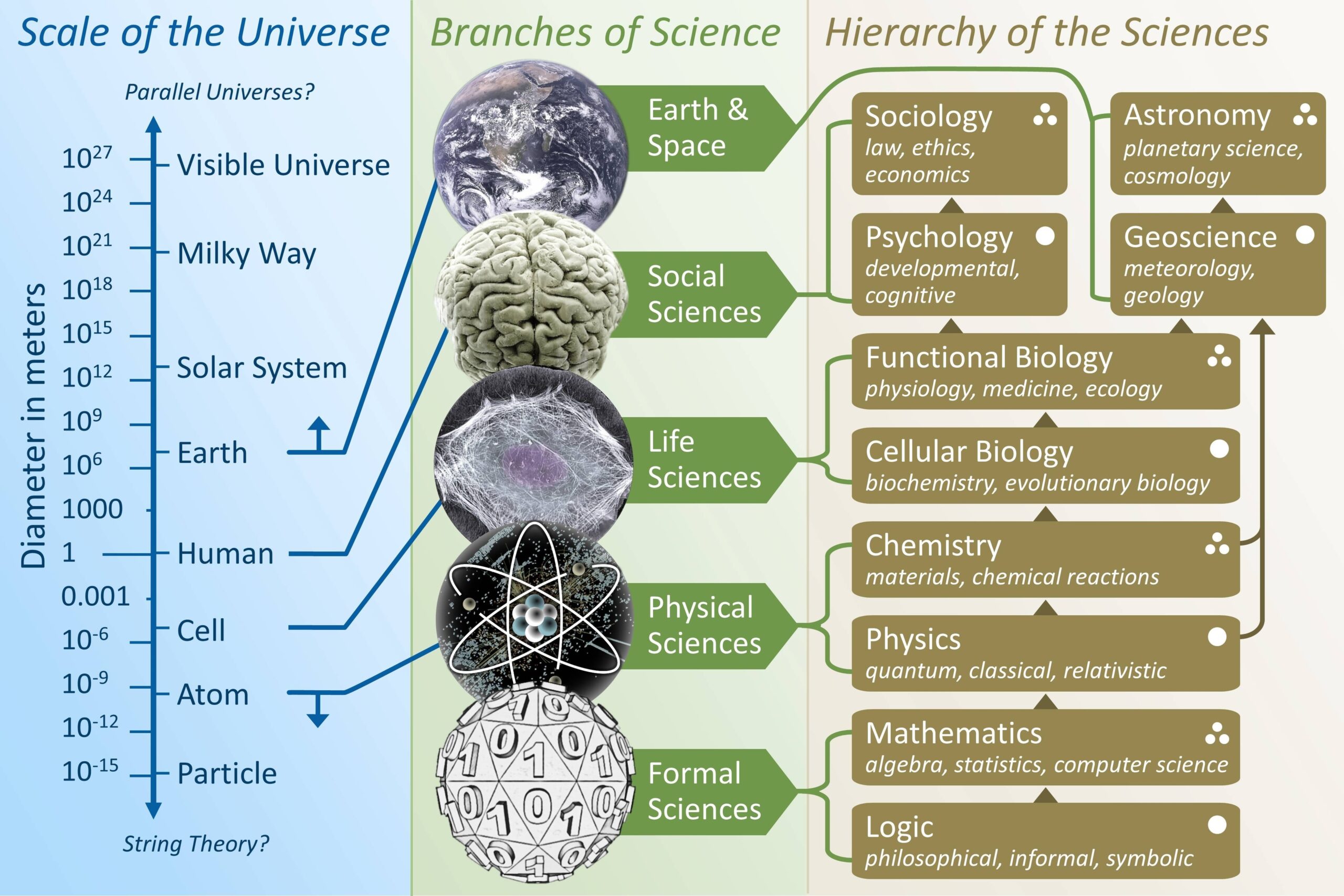 Science Terms And Definitions