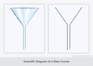 Scientific Diagram Ygraph