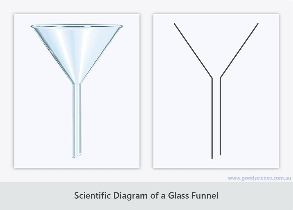 Scientific Diagram
