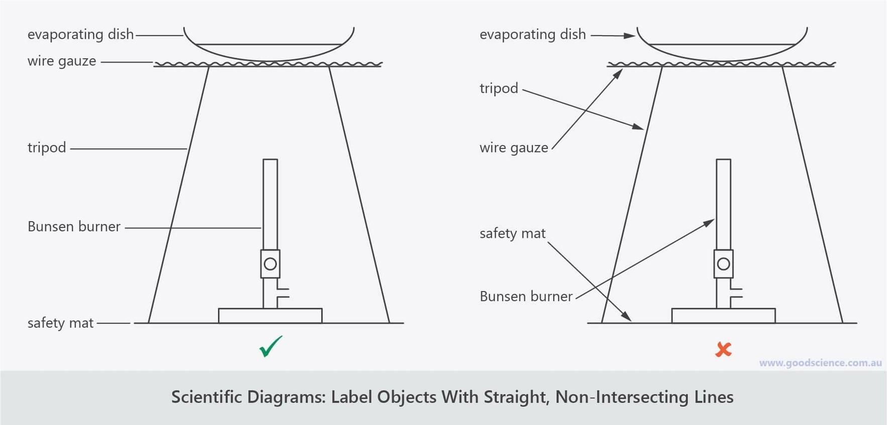 Scientific Diagrams Illustrated