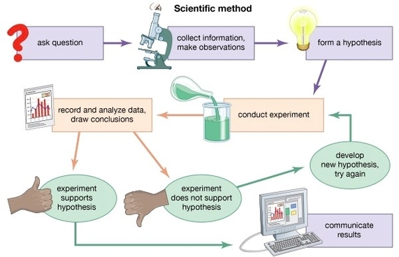 Scientific Method Diagram