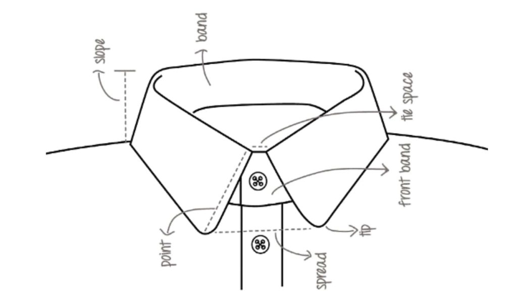 Shirt collars diagram Ygraph