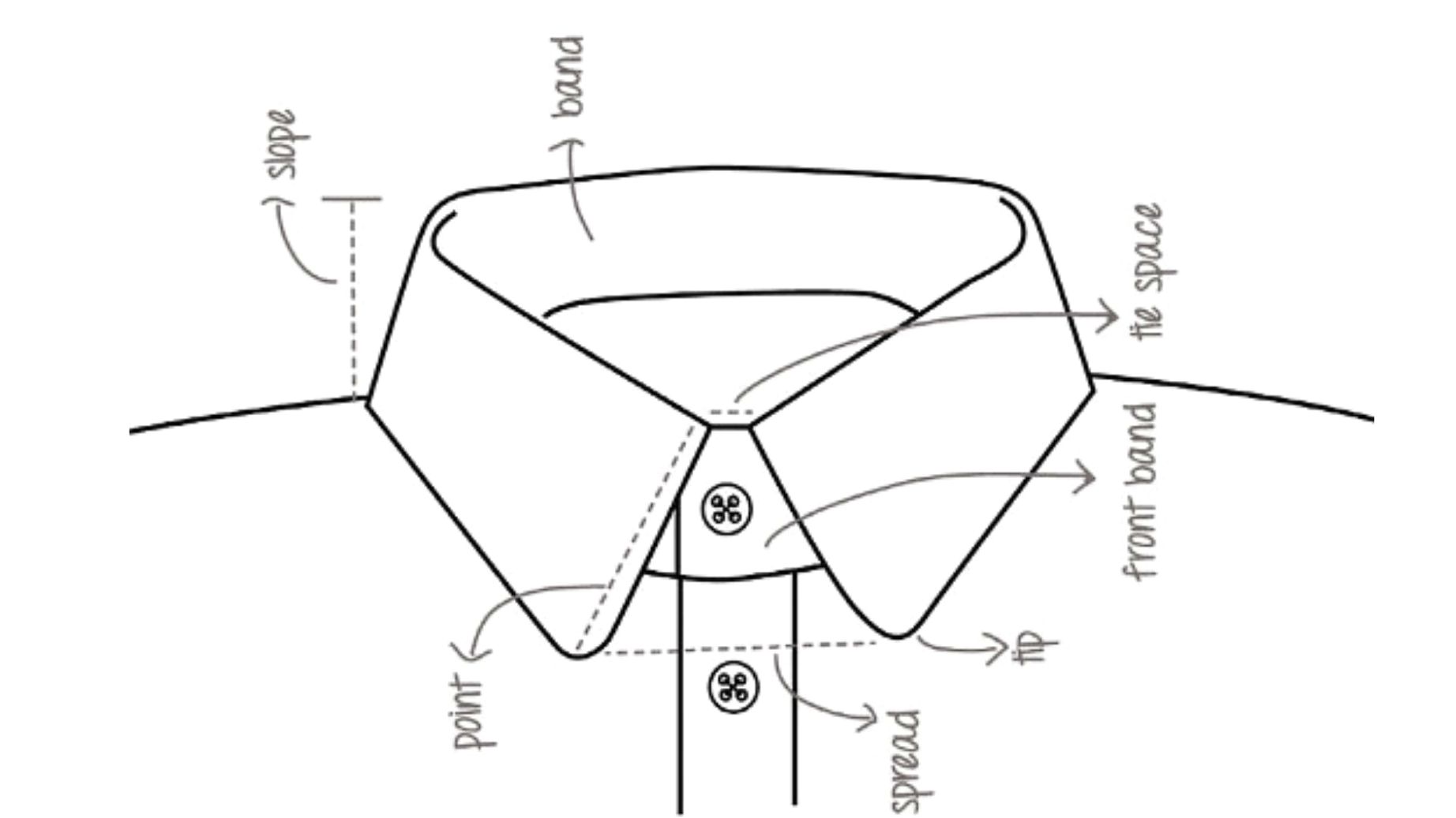 Shirt collars diagram