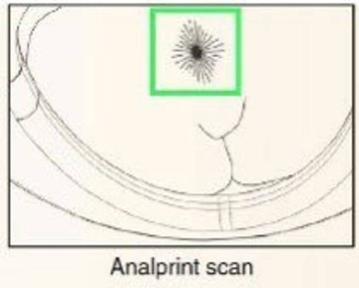Strange Science Diagrams