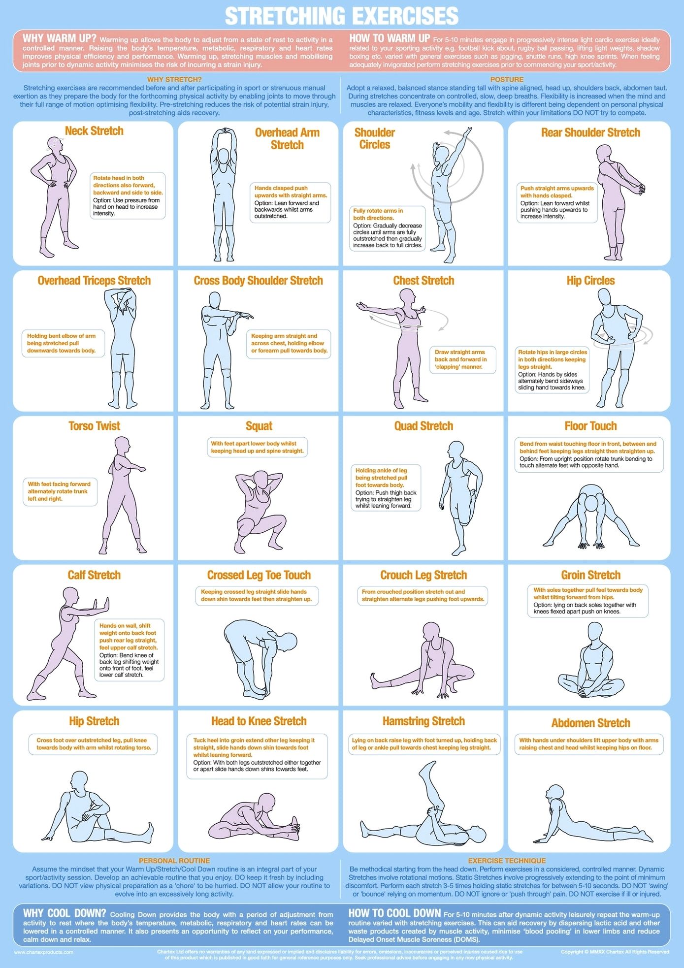 Stretching exercise chart