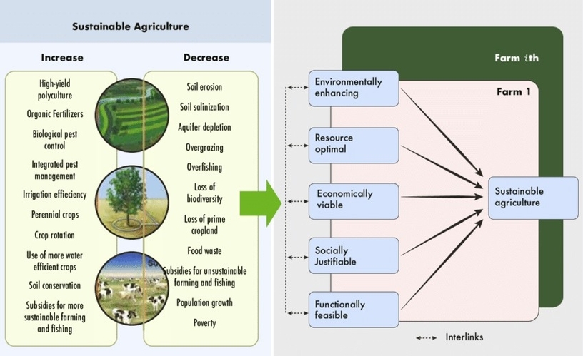 Sustainable Agriculture Diagram 36