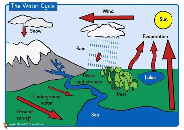 explain-the-water-cycle-diagram-brainly-ph