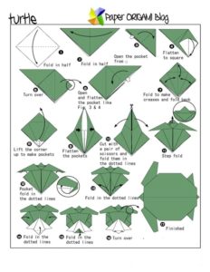 Turtle origami - Ygraph