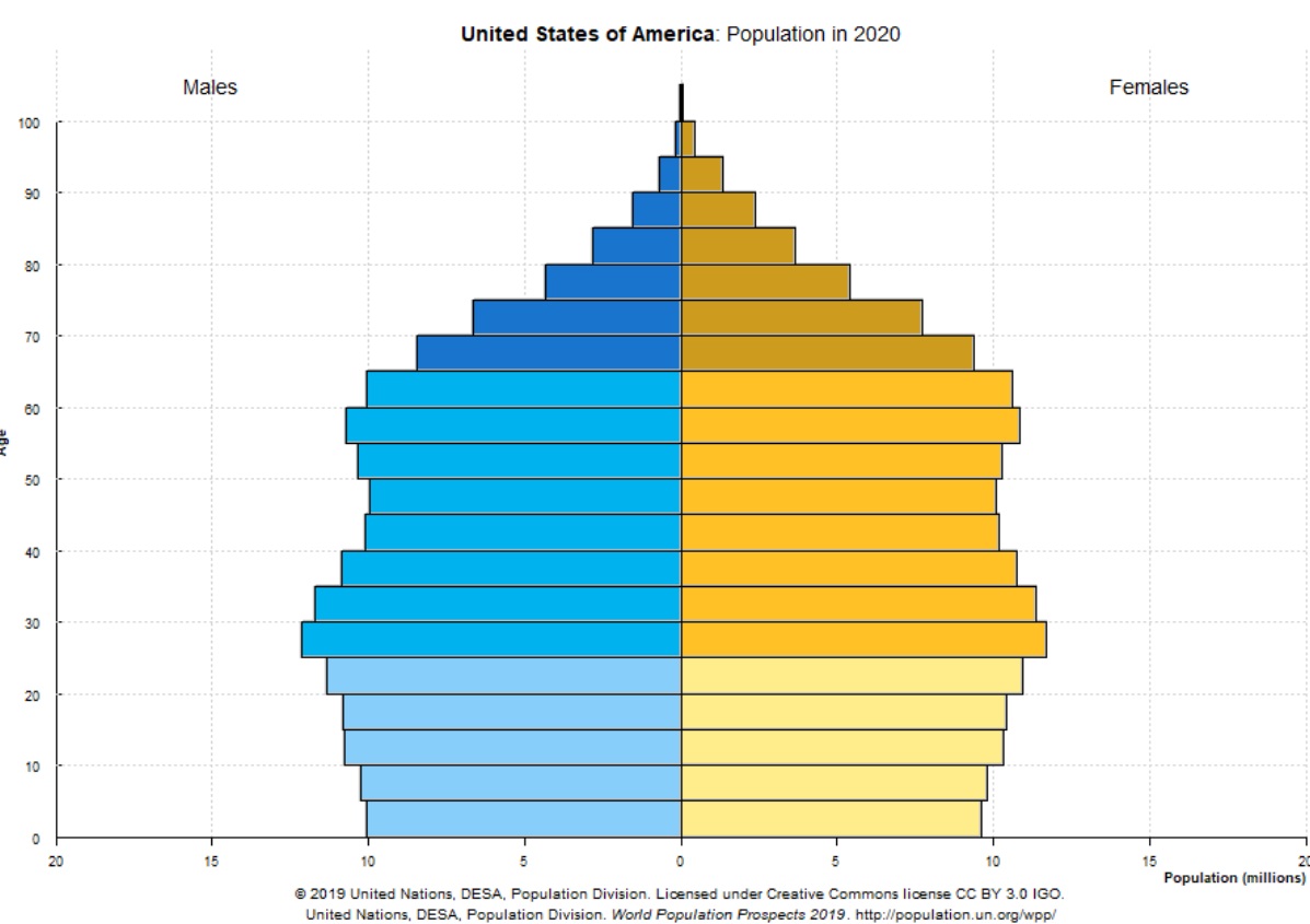 USA population pyramid