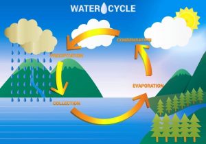 Water Evaporation Diagram - Ygraph