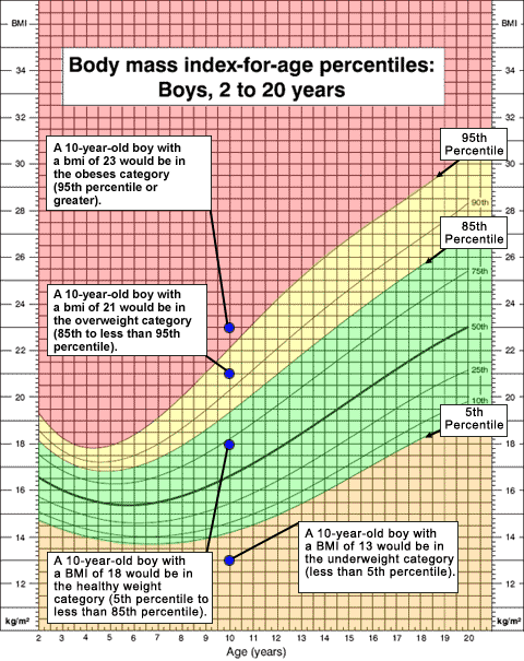 body-mass-index-boys-2-20-body-mass-ygraph