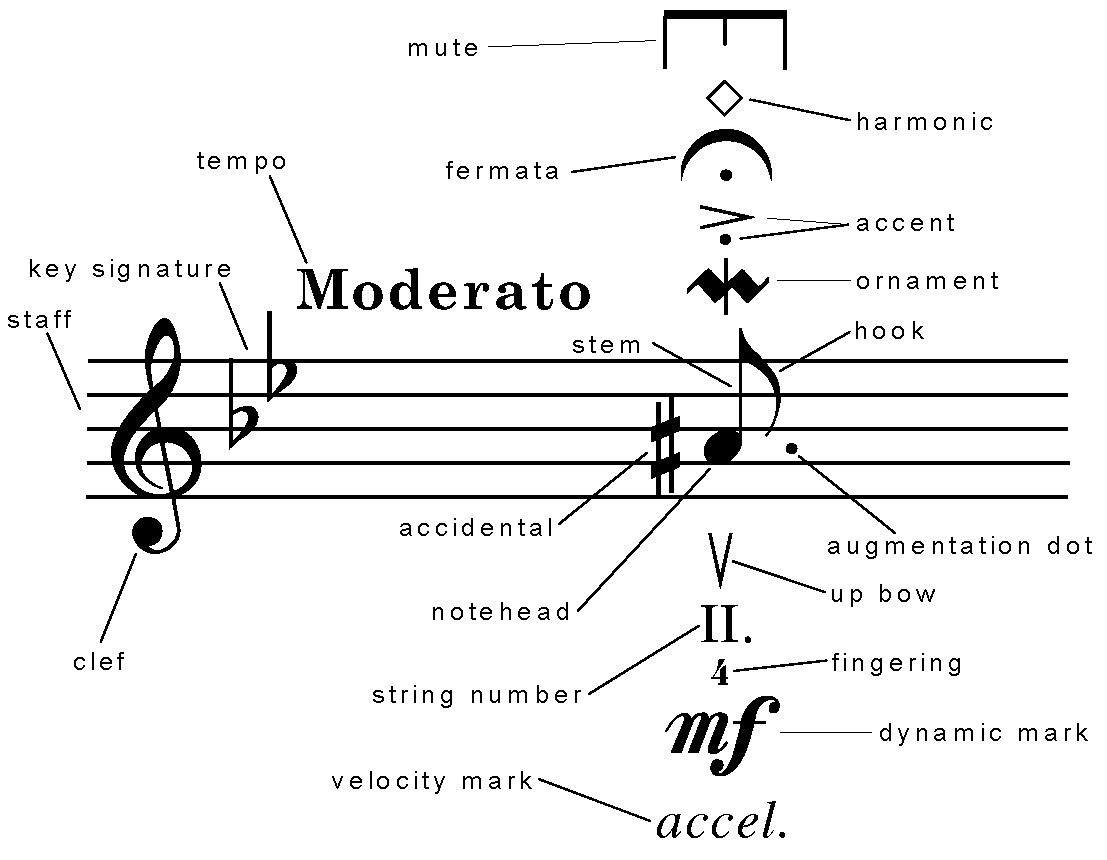 Music Notation Musical Notation Musi Ygraph